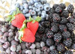 Agroindústria Coopchapada (8).jpeg