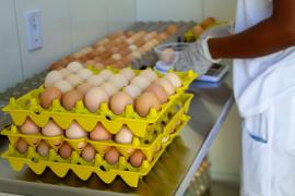 Dia da avicultura (8).jpeg