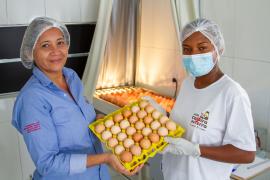 Dia da avicultura (9).jpeg