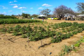 FOTO-ÍTALO-OLIVEIRA-SDR-GOVBA (12).jpg