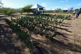 FOTO-ÍTALO-OLIVEIRA-SDR-GOVBA (15).jpg