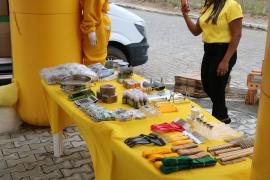 FOTO-LAILA-BRITO-SDR-GOVBA (4).jpg