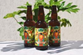 Foto-Silvia Costa (2).jpeg