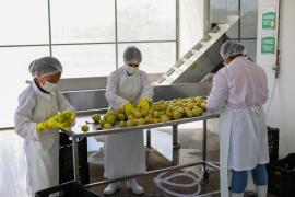 Agroindústria Coopera (12).jpeg