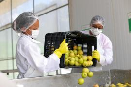 Agroindústria Coopera (5).jpeg