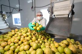 Agroindústria Coopera (9).jpeg