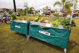 Amanda Ercília-GOVBA (3).jpg