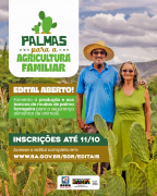 Edital Palmas para a agricultura.png