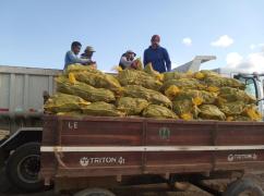 FOTO-EQUIPE SUAF-SDR (3).jpeg