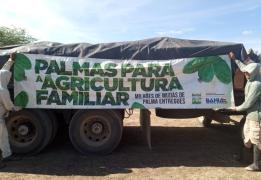 FOTO-EQUIPE SUAF-SDR (4).jpeg