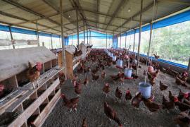 FOTO-GILSON-BARBOSA-SDR-GOVBA (15).jpg