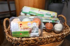 FOTO-GILSON-BARBOSA-SDR-GOVBA (8).jpg