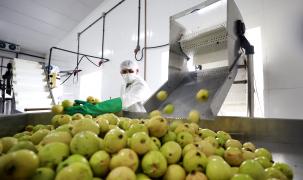 Feijão AlmeidaGOVBA (1).jpg