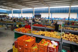 Mercado Municipal de Ribeira do Pombal (2).jpeg