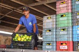 Unidade de Beneficiamento de Frutas fortalece agricultura familiar em Rio Real (5).jpeg