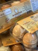 WhatsApp Image 2025-08-28 at 14.52.15.jpeg