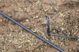 WhatsApp Image 2025-09-08 at 11.25.00 (2).jpeg