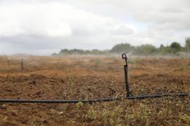 WhatsApp Image 2025-09-08 at 11.25.00 (3).jpeg