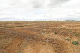 WhatsApp Image 2025-09-08 at 11.25.00 (4).jpeg