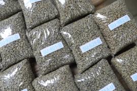 Entregas Barrado Choça_Foto_ Geraldo Carvalho (14).jpeg