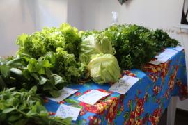 FOTO-JOÃO-PAMPONET-SDR-GOVBA (2).jpg