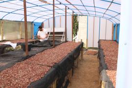 FOTO-LAILA BRITO-SDR-GOVBA.jpg