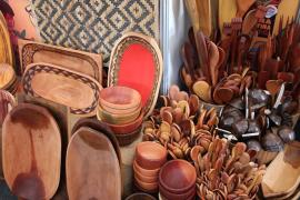 FOTO-LAILA BRITO-SDR-GOVBA (3).JPG