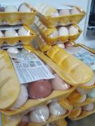 Fortalecimento da Cadeia Produtiva da Avicultura (1).jpeg