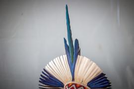 WhatsApp Image 2025-11-06 at 20.20.38.jpeg