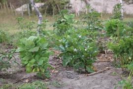 FOTO-RODRIGO PIMENTEL-SDR-GOVBA (5).jpg