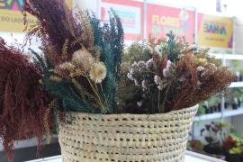 Flores e Artesanato_ Fotos Milena Andrade  (12).jpeg