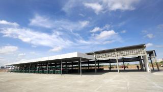 Foto_Feijão Almeida GOVBA (3).jpg