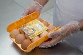 Foto_Geraldo Carvalho (7).jpeg