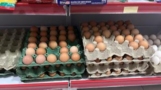 Kits Produtivos (2).jpeg