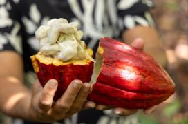 Fotos- André Frutuoso (2).jpeg