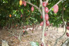 Fotos- Italo Oliveira (3).jpg