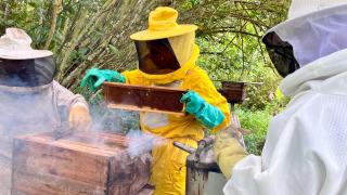 Apicultura CTR _ Jack Peixoto (7).jpeg