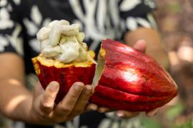 FOTO-ANDRÉ FRUTUÔSO-CAR.jpg