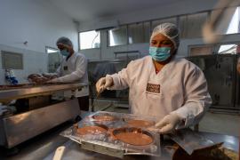 Bahia Cacau - Foto André Frutuôso (2).jpeg