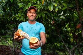 Bahia Cacau - Foto André Frutuôso (3).jpeg