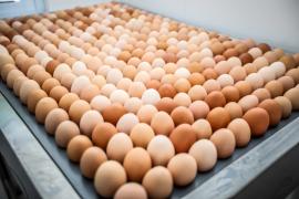 WhatsApp Image 2026-04-10 at 16.28.39 (2).jpeg