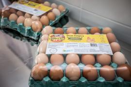 WhatsApp Image 2026-04-10 at 16.28.41.jpeg