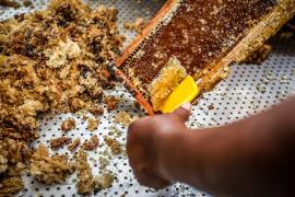 WhatsApp Image 2026-04-10 at 16.28.42 (1).jpeg