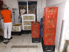 Foto_Juliane Oliveira3.jpg