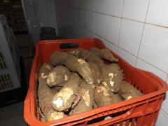 Foto_Juliane Oliveira4.jpg