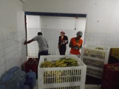 Foto_Juliane Oliveira6.jpg