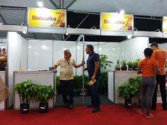 Biofábrica expõe mudas no Festival Choco Summer.jpeg