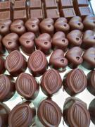 Cacauicultura (10).jpeg