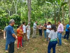 Cacauicultura (2).jpeg