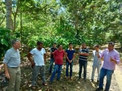 Cacauicultura (6).jpeg